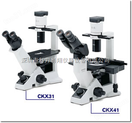 奥林巴斯荧光显微镜CKX41