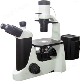 NTY-XD-002进口  倒置  生物显微镜