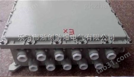 BJX8050-20/10防爆防腐接线端子箱