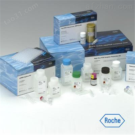 山羊白介素10（IL-10）ELISA试剂盒