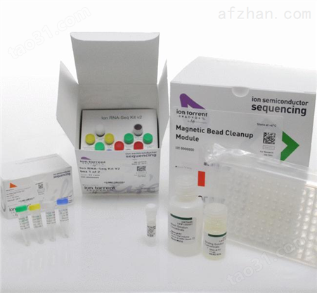 猪胰岛素样生长因子2（IGF-2）ELISA试剂盒