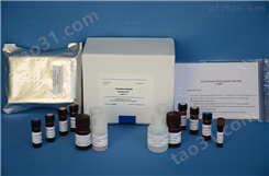 兔半乳凝素3（GAL3）ELISA试剂盒