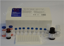 兔B-细胞淋巴瘤因子2（Bcl2）ELISA试剂盒