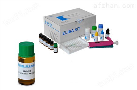 人白三烯E4（LTE4）ELISA试剂盒