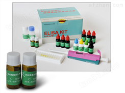 人脱氧核糖核酸酶Ⅱ（DNASEⅡ）ELISA试剂盒